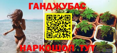 стаф Рязань
