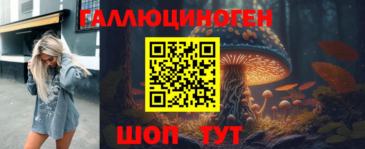 Псилоцибиновые грибы Psilocybine cubensis Назарово