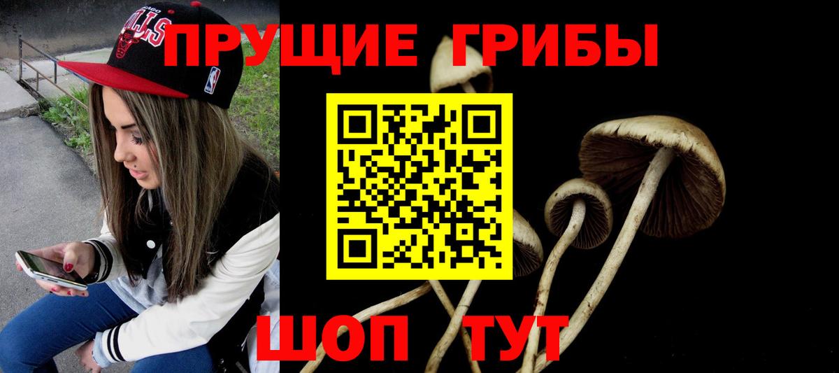 Назарово  Псилоцибиновые грибы Magic Shrooms  Вход с VPN  где купить   Псилоцибиновые грибы Magic Shrooms 